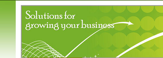 SEO Pleasanton &amp; Web Marketing Company in Dublin, Livermore, Walnut Creek, CA - Frisco Web Solutions